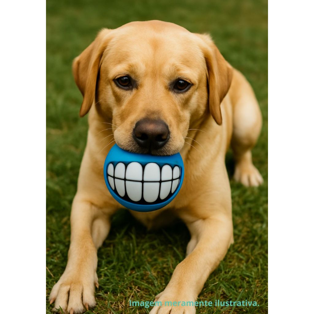 Brinquedo Pet BOLINHA COM ESTAMPA DE SORRISO Adestramento em Oferta na Shopee