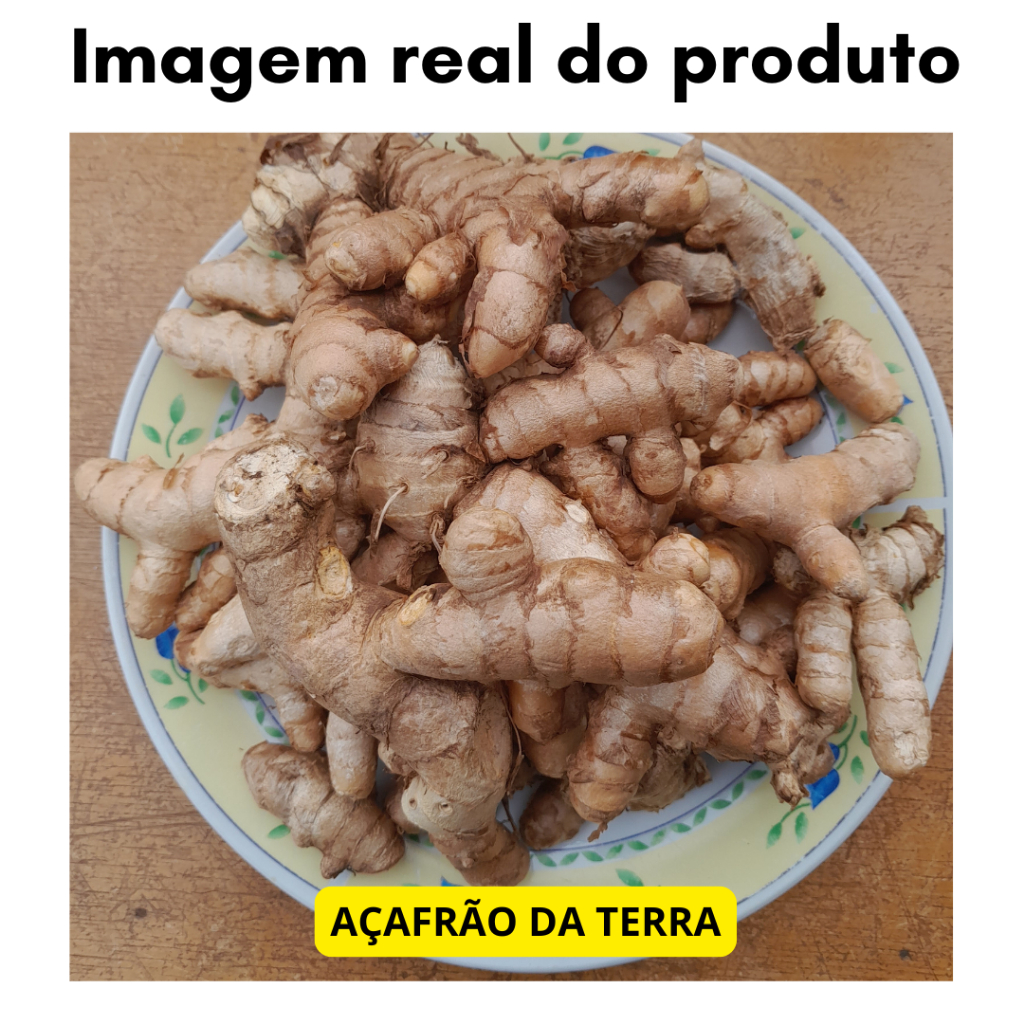 Chá de Canela de Velho 100g + Açafrão raiz fresca 100g + Gel masseador Arnica Pura 200g Rhenuks