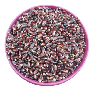 MILHO PARA PIPOCA PRETO 500g em Oferta na Shopee