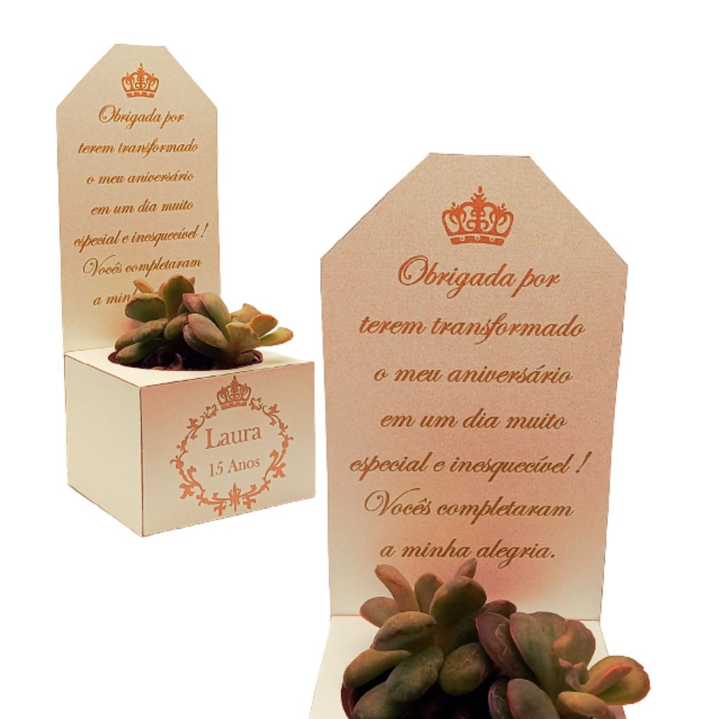 Caixinha para Suculenta Personalizada – Lembrancinha Festa, Aniversário, 15 Anos, Casamento