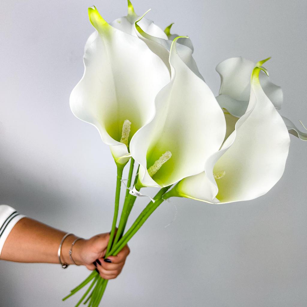 O que é Copo de Leite Flor? Guia e Onde Comprar | BuscaProdutos