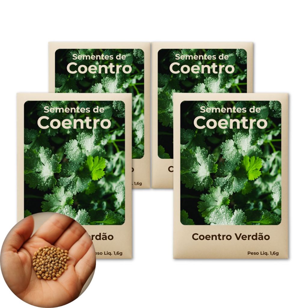 Sementes Coentro Verdão Para Plantio Doméstico Com Alta Taxa De Germinação - Leve 4 Pct