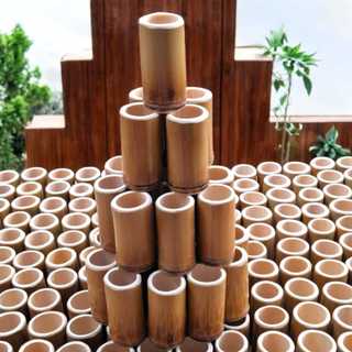 Kit 15 Mini Vasinhos de Bambu Vasos de Bambu Decoração Suculentas Folhagem Lembrancinha Casamento