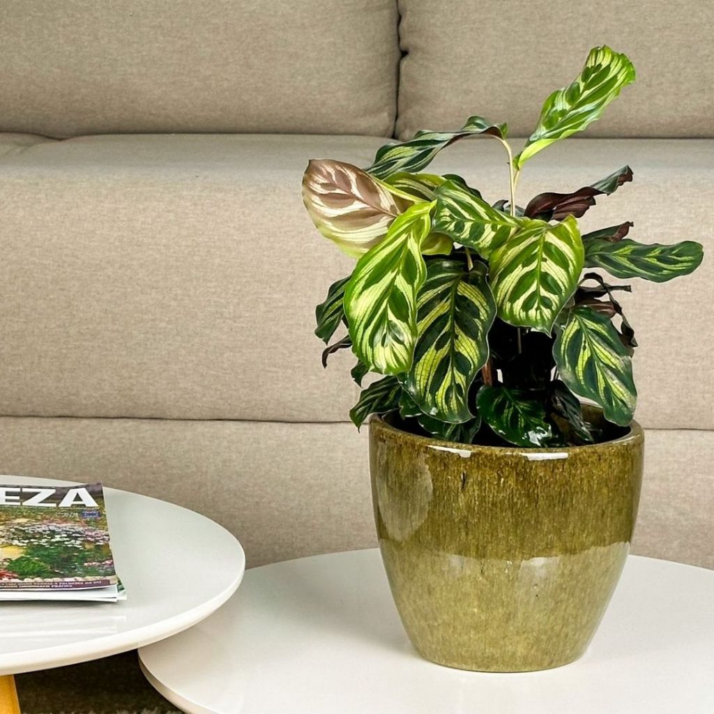 Vaso Cachepot de Cerâmica Esmaltada 16x14 Para Decoração