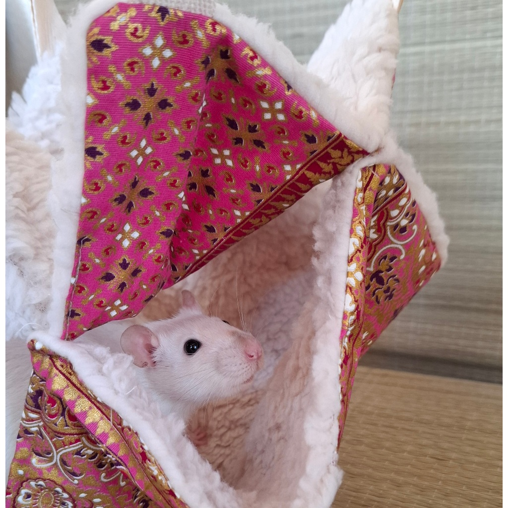 Rede dupla para rato twister, topolino, camundongo e roedores em Oferta na Shopee