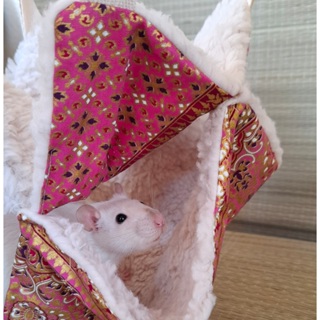 Rede dupla para rato twister, topolino, camundongo e roedores em Oferta na Shopee