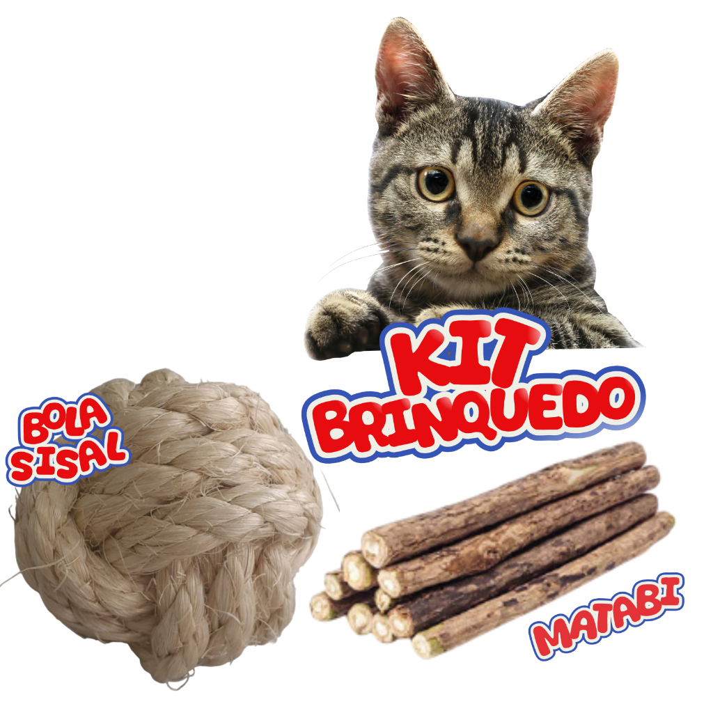 Kit Brinquedo para Gatos Bola de Sisal e Matatabi