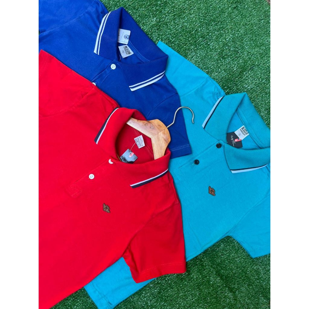 Kit 3 Camiseta Gola Polo Infantil 100% Algodão tamanho Infantil Ao Juvenil 1 a 14 anos Basica Para Menino