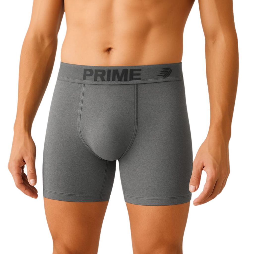 Kit até 10 Cueca Boxer Masculina Lisa Microfibra Adulto Prime Elástico Largo Confortável Anatômica Igor