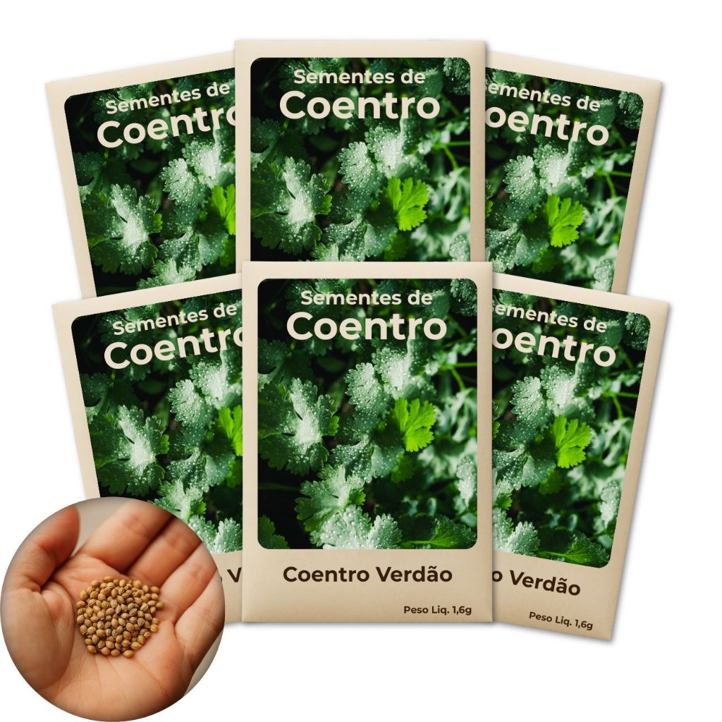 Coentro Verdão Sementes Alta Germinação, Pureza Superior e Fácil De Cultivar - Leve 6 Pct