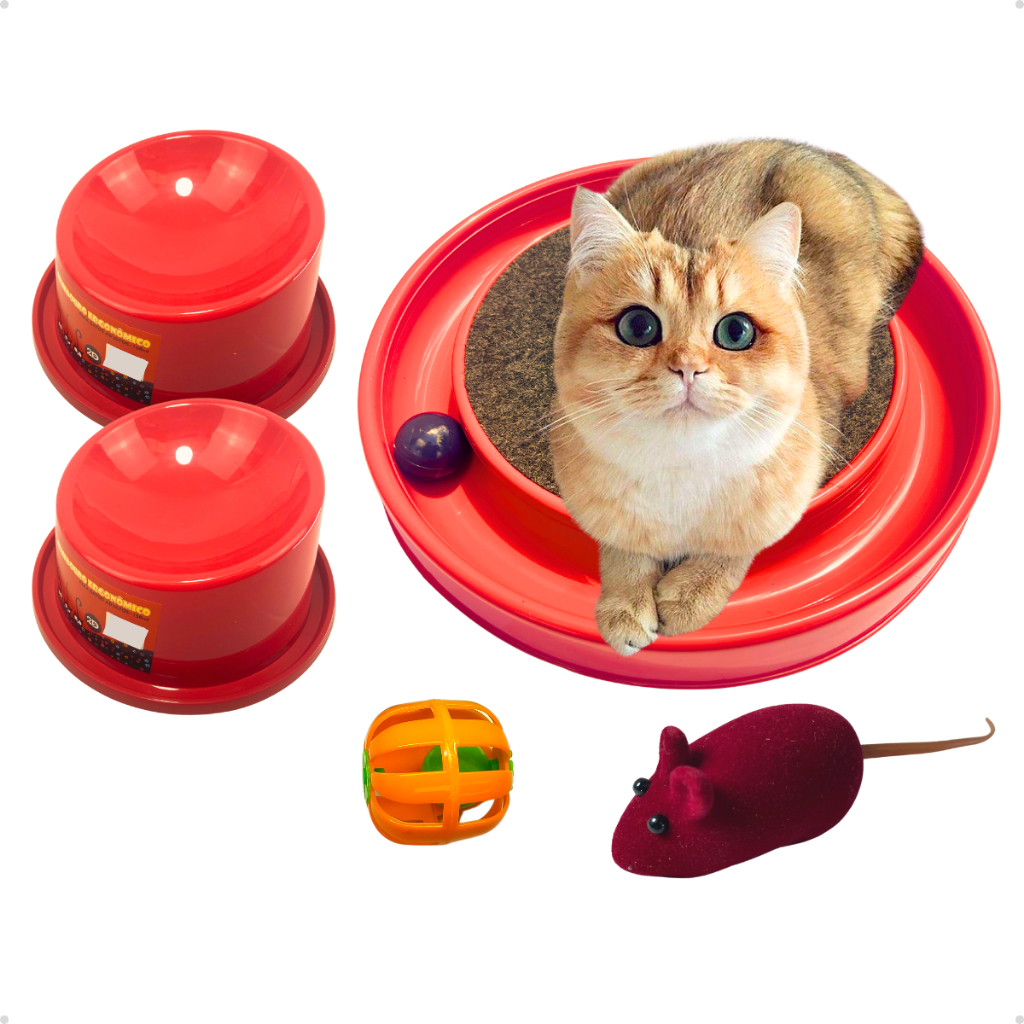 Brinquedo de Arranhador com Bola: Onde Comprar | BuscaProdutos