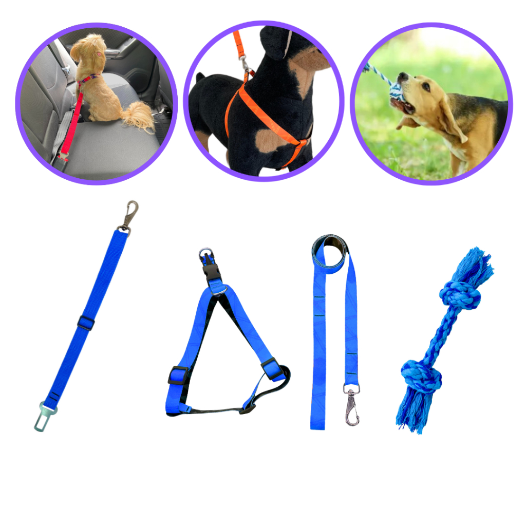 Kit coleira peitoral guia cinto de segurança pet brinquedo mordedor higiêne bucal regulagem azul