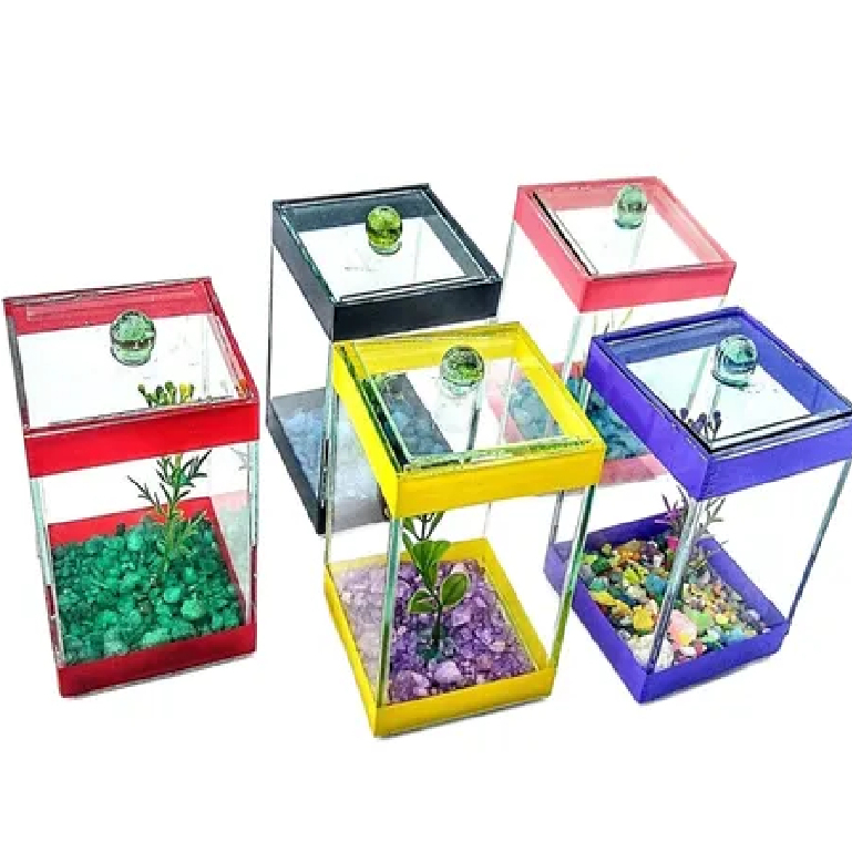 Kit 5 Aquários Beteiras Decorada 10x10x15 Peixe Beta em Oferta na Shopee