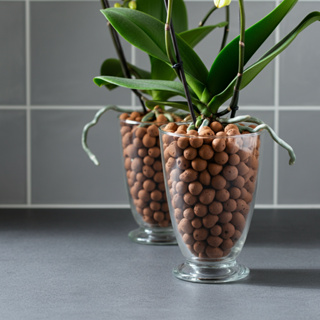 Argila Expandida Pedras Para Vasos De Plantas Drenagem 3222 e Decoração Jardim Externo em Oferta na Shopee