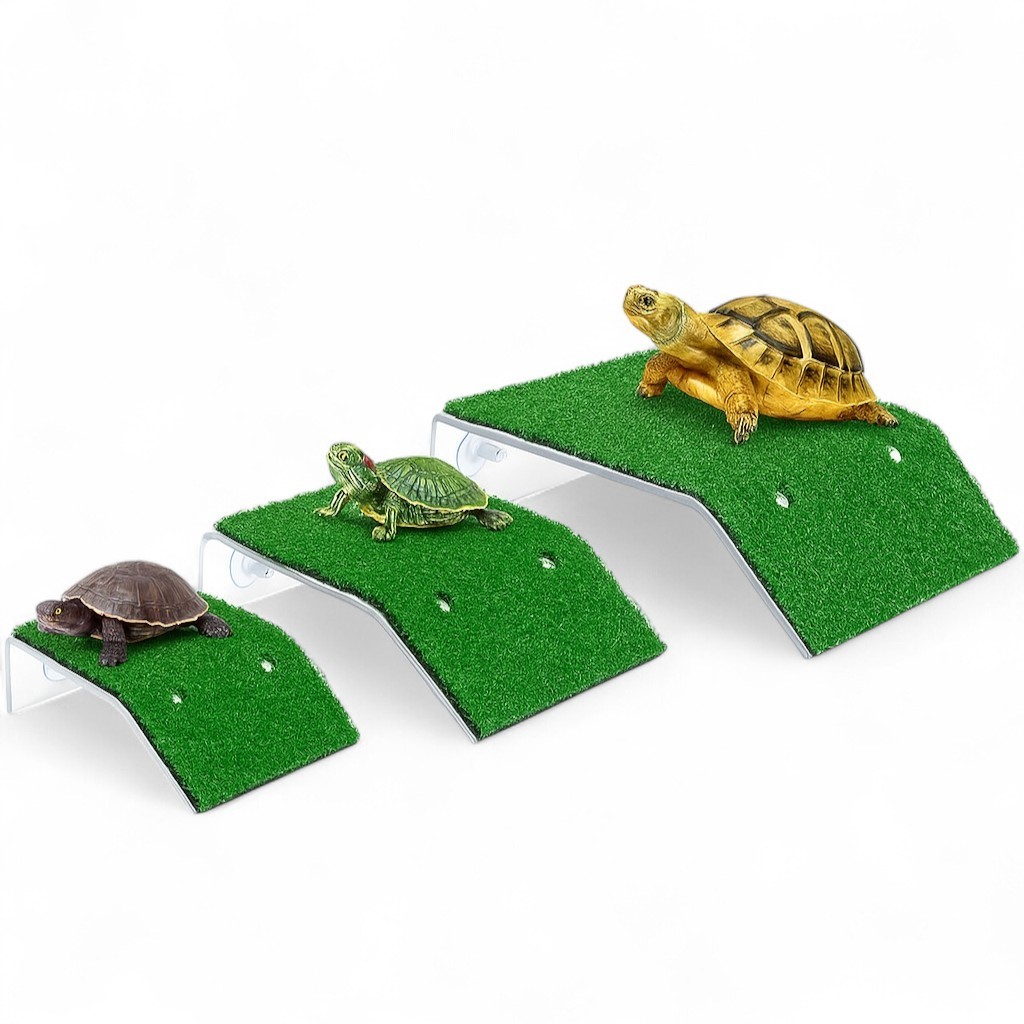 Plataforma Rampa Tartatuga Repteis Terrarios Grama Aquario Varios Tamanhos Aquatank Original em Oferta na Shopee