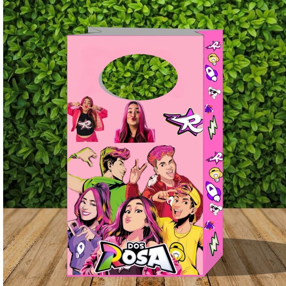 20 Emilly Vick lembrancinha sacolinha surpresa PEGUE E MONTE festa infantil tema os rosa caixinha de decoração de festa