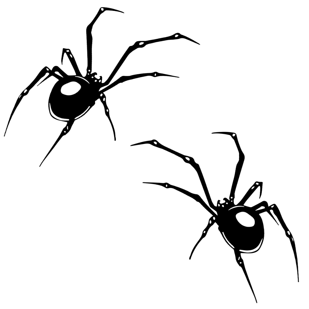 2 Adesivos Aranha Viuva negra 16 x 10 cm  Carro e moto em vinil RGV em Oferta na Shopee