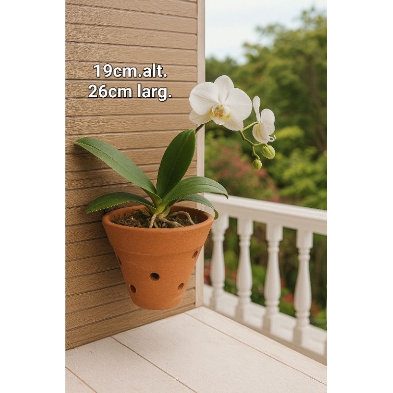 Vaso de Barro Orquídea de Parede 20x26 -  Decore Seu Jardim