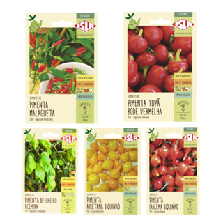 Sementes de Pimenta Malagueta - Bode - Cheiro - Biquinho - Isla Hortaliças em Oferta na Shopee