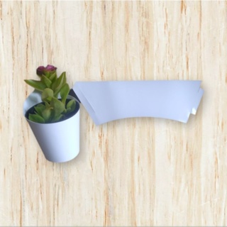 50 rótulos branco _ encaixe para vasos de suculentas NP06 em Oferta na Shopee