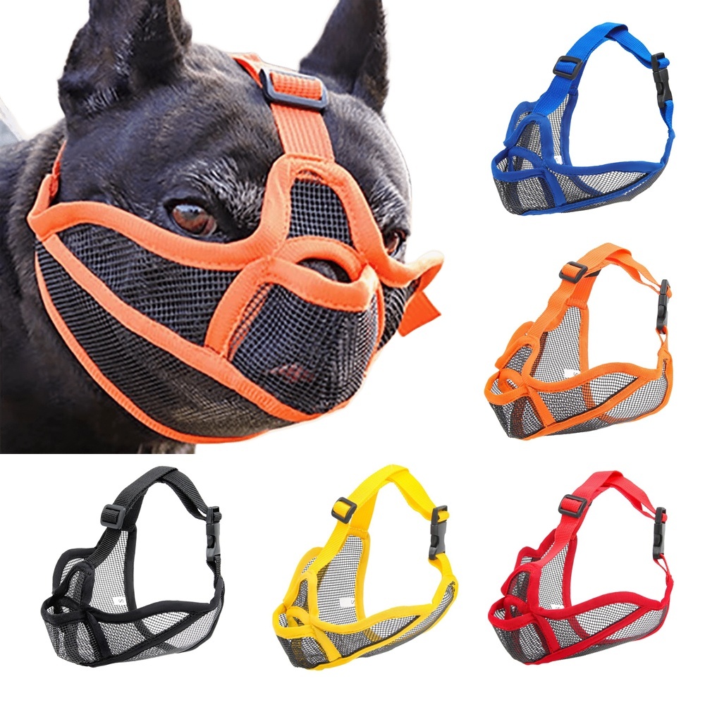 O que é Bulldog Terrier? Guia e Onde Comprar | BuscaProdutos