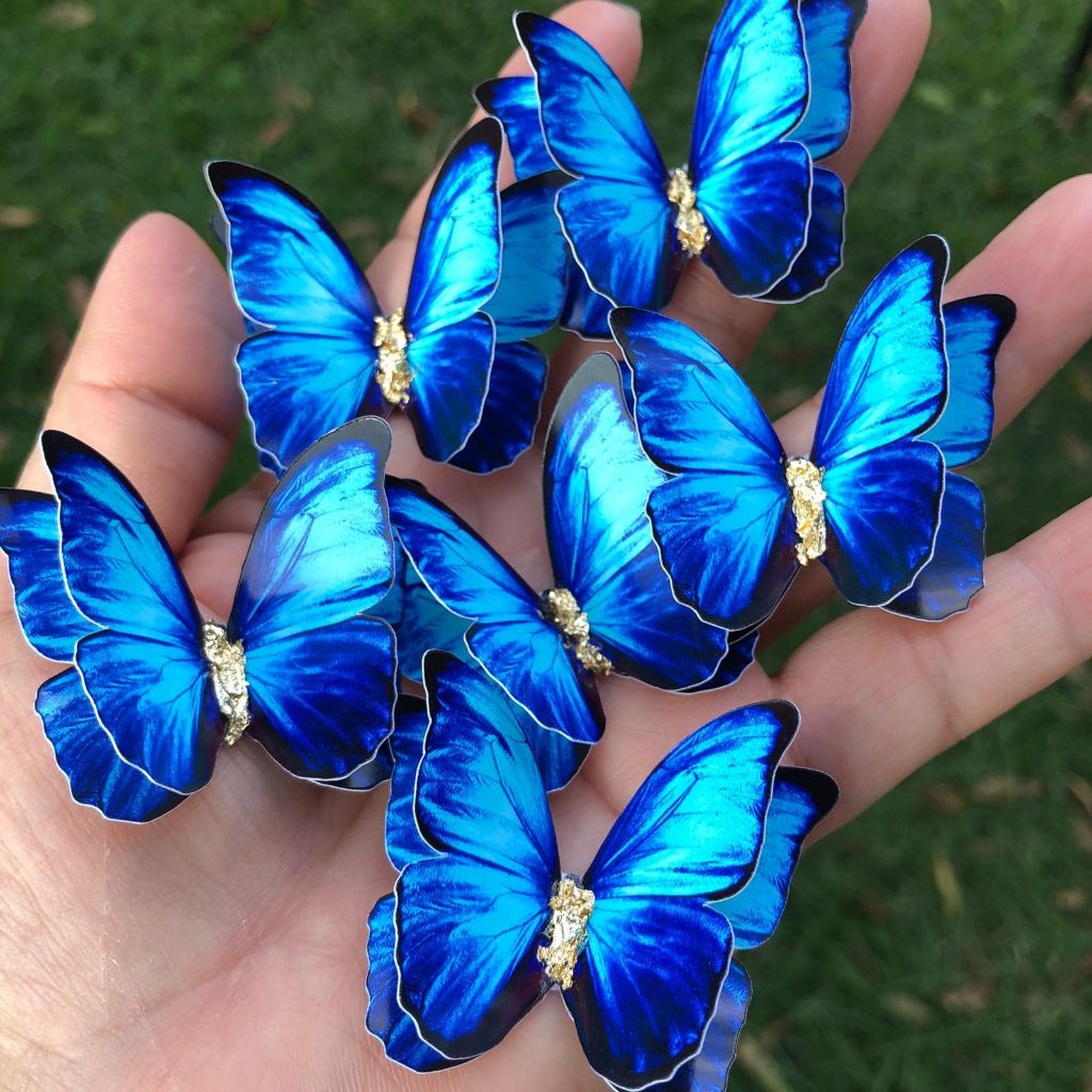 Bolo Borboleta Azul: Onde Comprar | BuscaProdutos