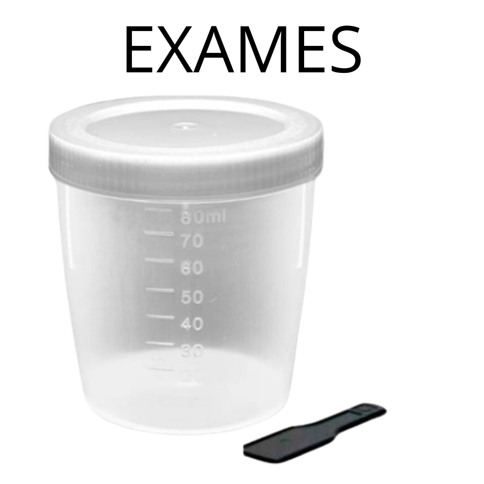 Coletor Universal Para Coleta de Exames Secreção Laboratório Hospitais 80 ml + Pazinha Espátula