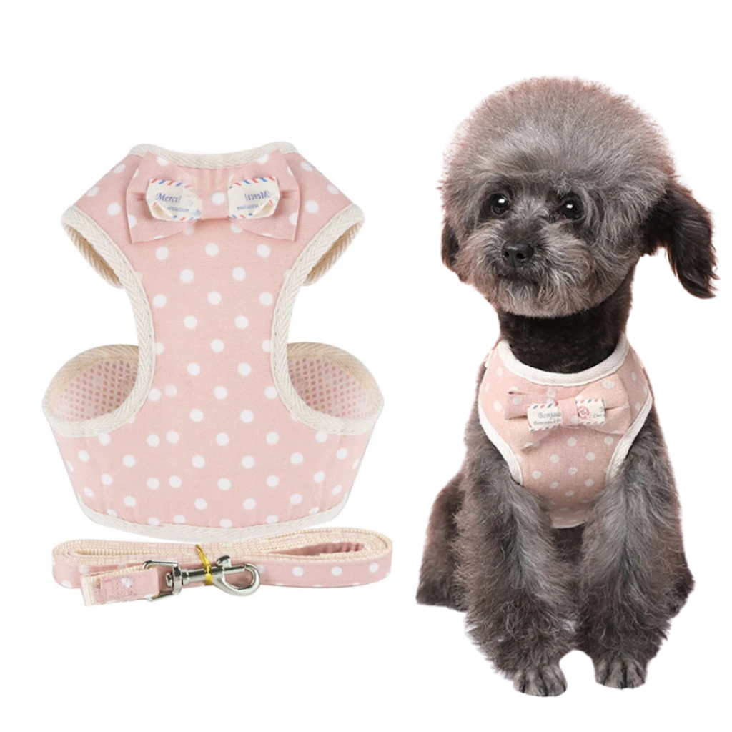 Coleira Colete Peitoral Laço Poa Gato Cachorro Pequeno Pet + Guia Resistente