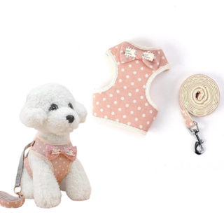 Coleira Colete Peitoral Laço Poa Gato Cachorro Pequeno Pet + Guia Resistente em Oferta na Shopee
