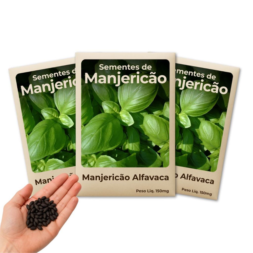 Semente de Manjericão Alfavaca Para Quem Busca Culinária Saudável e Plantio Sustentável Leve 3 Pacotes