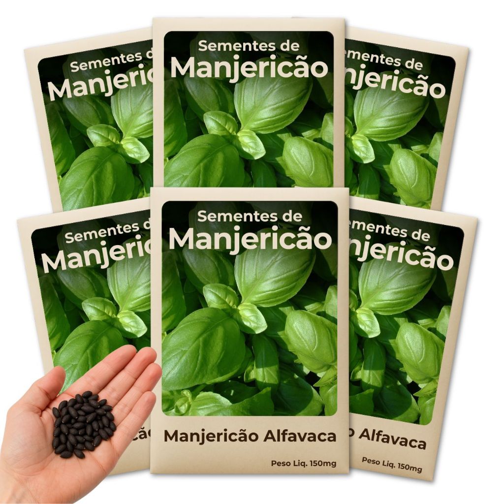 Semente de Manjericão Alfavaca Para Quem Busca Culinária Saudável e Plantio Sustentável Leve 6 Pacotes