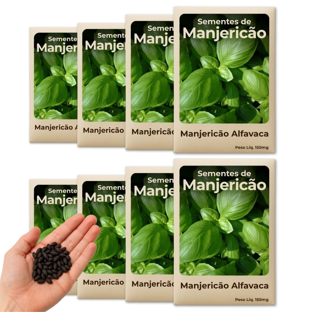 Semente de Manjericão Alfavaca Para Horta Urbana com Crescimento Rápido e Fácil Leve 8 Pacotes