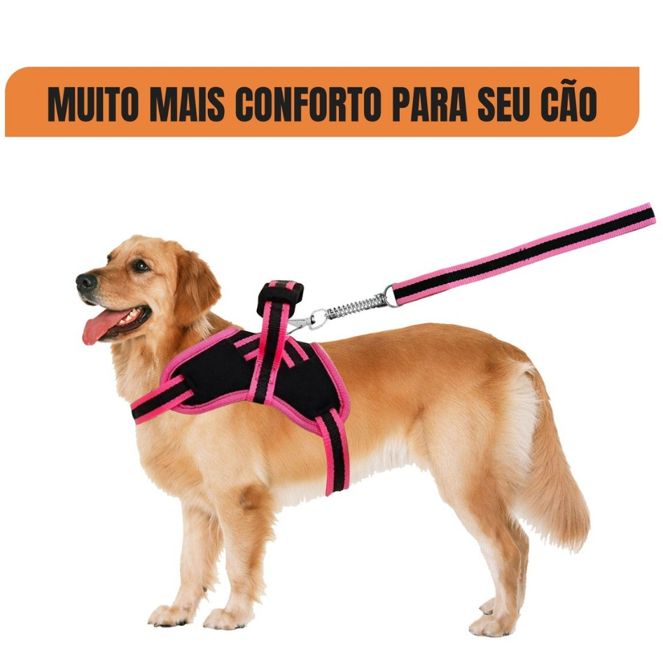 Peitoral Coleira Pitbull Pastor Alemão Rotwailler Reforçada Couro