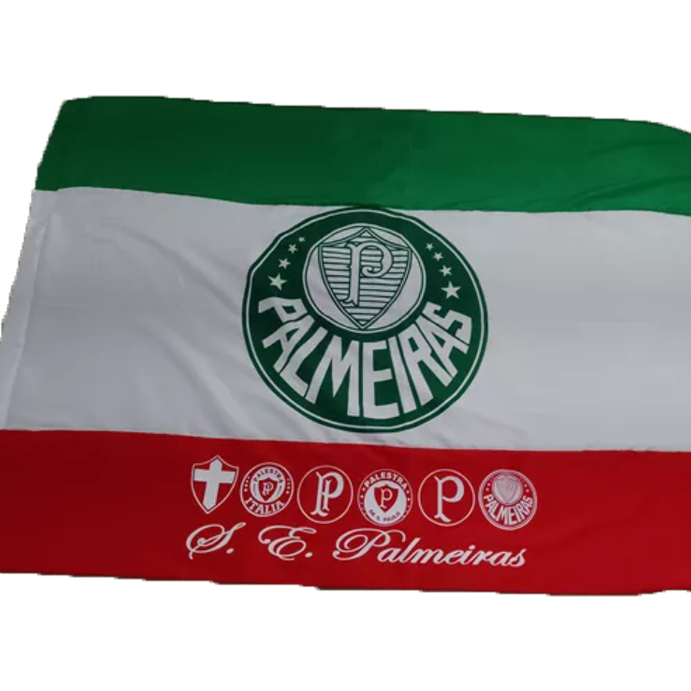 Torcedor do Palmeiras: Onde Comprar | BuscaProdutos