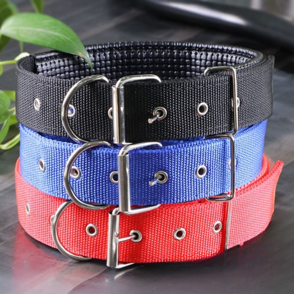 Coleira Nylon Dupla Camada LR-0312 Reforçada p/ Cachorro Grande e Médio com Fivela Metal