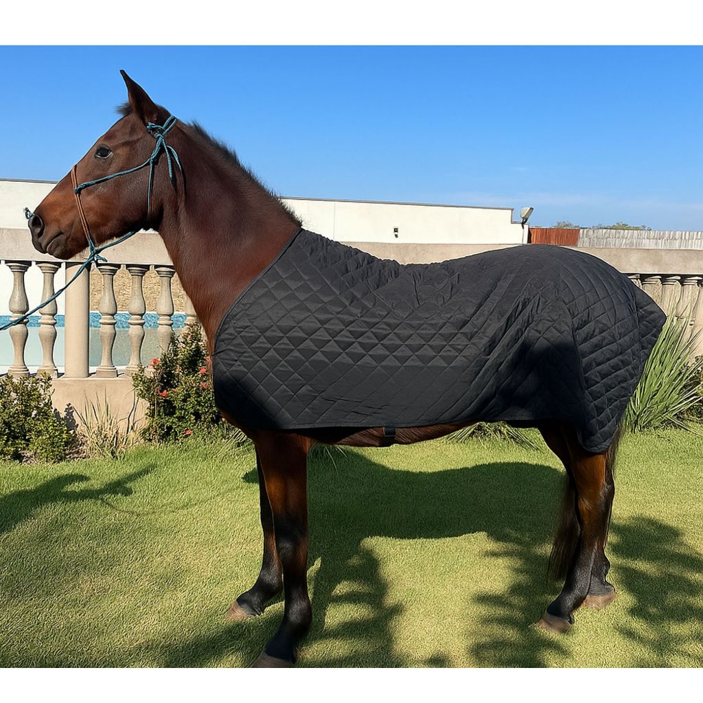 Capa De Cavalo, Matelado e forrado, Produto Ideal Para Proteger Contra Frio, várias cores P  - G
