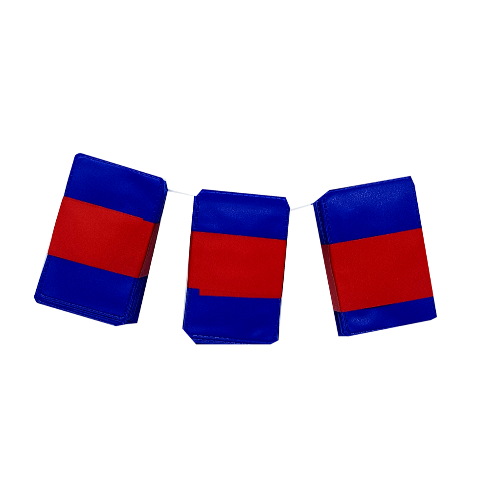 CARTEIRINHA AZUL PLÁSTICA 3X4 50 UNIDADES IDEAL PARA ESCOLAS EMPRESAS CURSOS EVENTOS