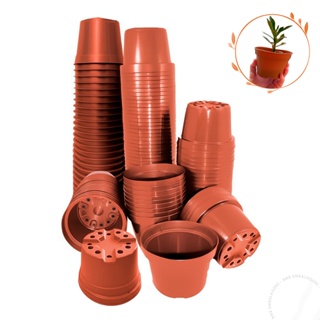 Kit 60 ou 100 Vasos Plástico Pote 11 Liso Marrom Terracota Plantas Flores Temperos Violeta Suculenta em Oferta na Shopee