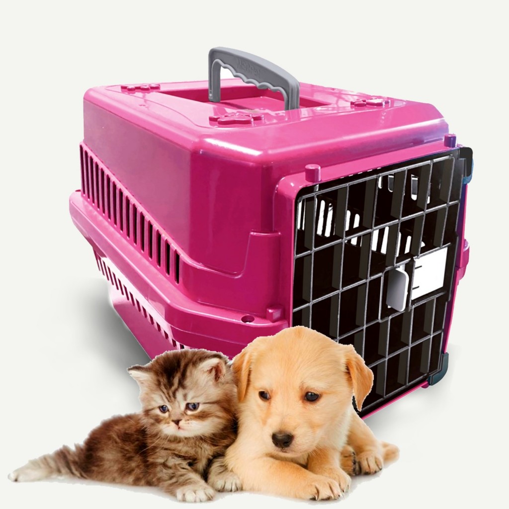 Caixa de Transporte Casinha Para Cachorro Gato Coelhos Pet Porquinho da India em Oferta na Shopee