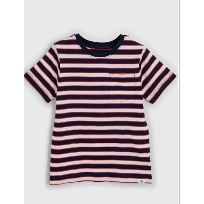 Camiseta Blusa Listrada Gap | 2 a 5anos