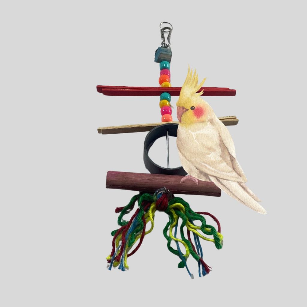 Brinquedo Penduricalho Palitos Para Calopsita Para Gaiola Avers Passaros Periquitos Rinq Neck