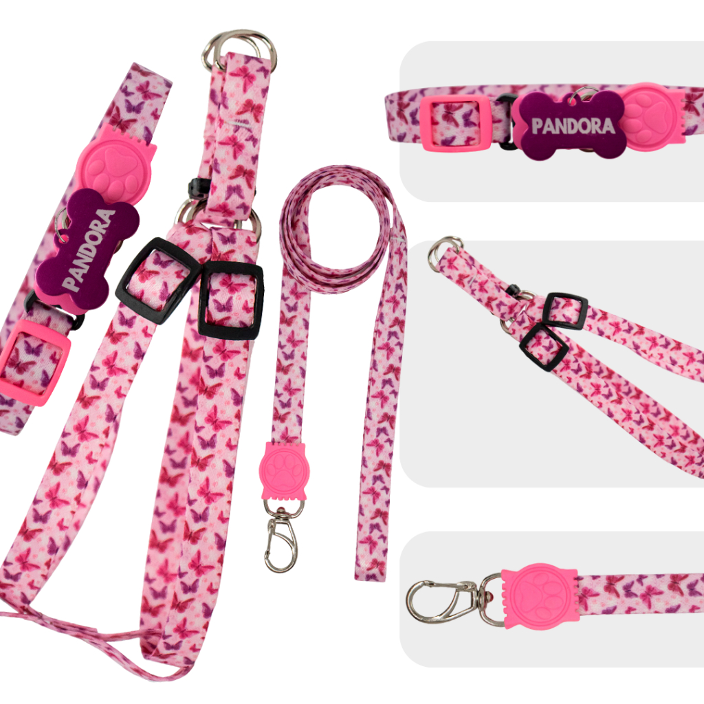 Coleira Peitoral para cachorro com nome e telefone plaquinha de identificação kit personalizado em Oferta na Shopee