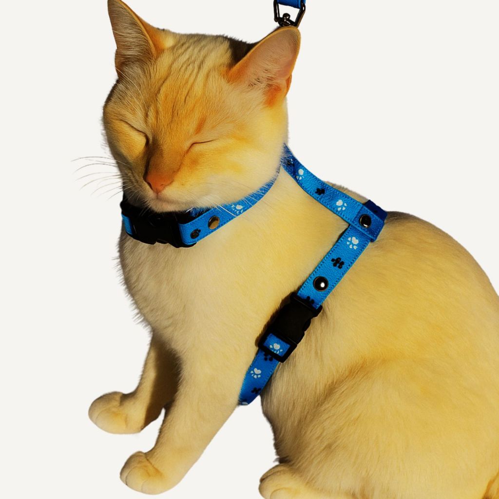 Coleira Peitoral Para Gatos Com  Guia Regulagem Conforto e Segurança Macho e Femea