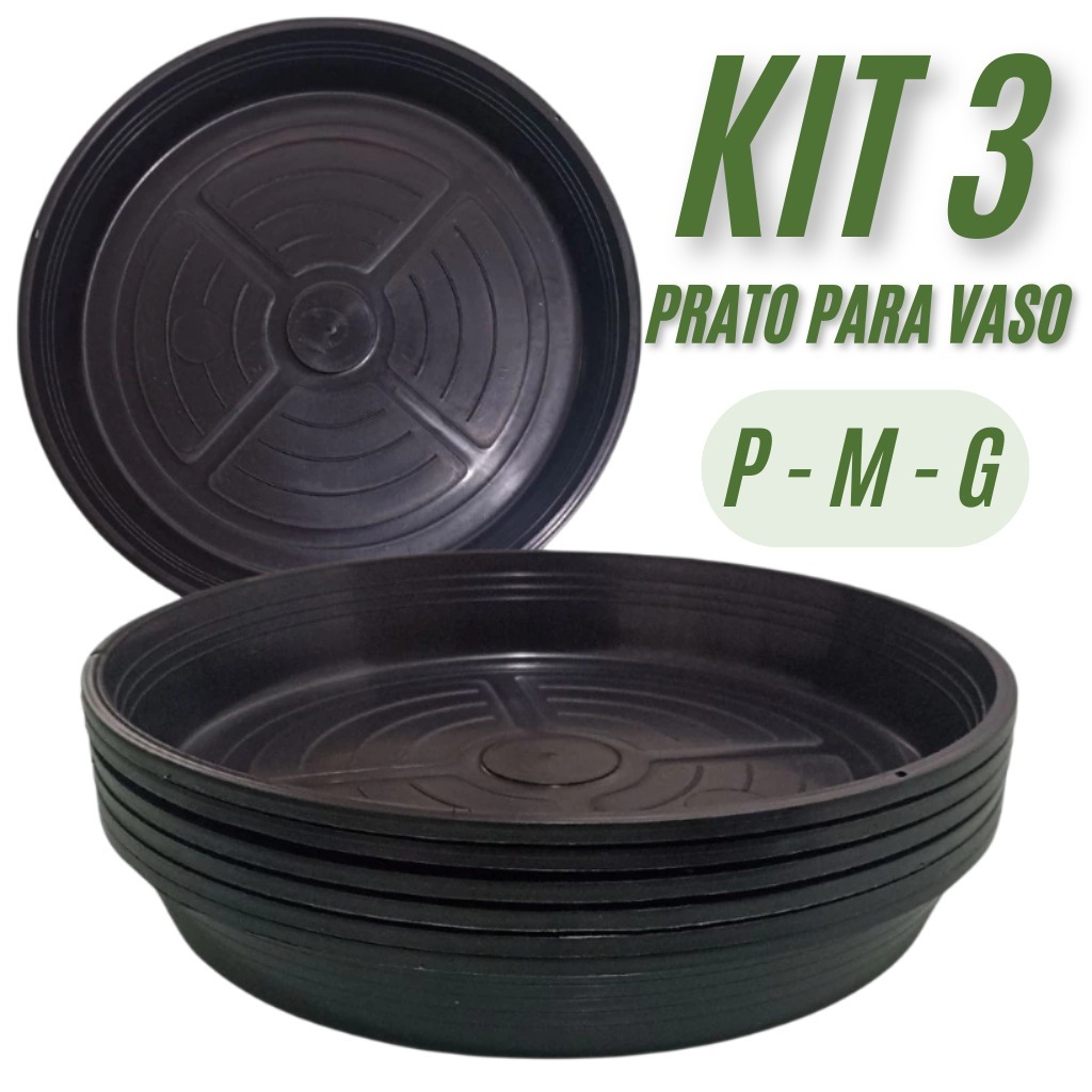 Plantas com Vasos Grandes: Onde Comprar | BuscaProdutos