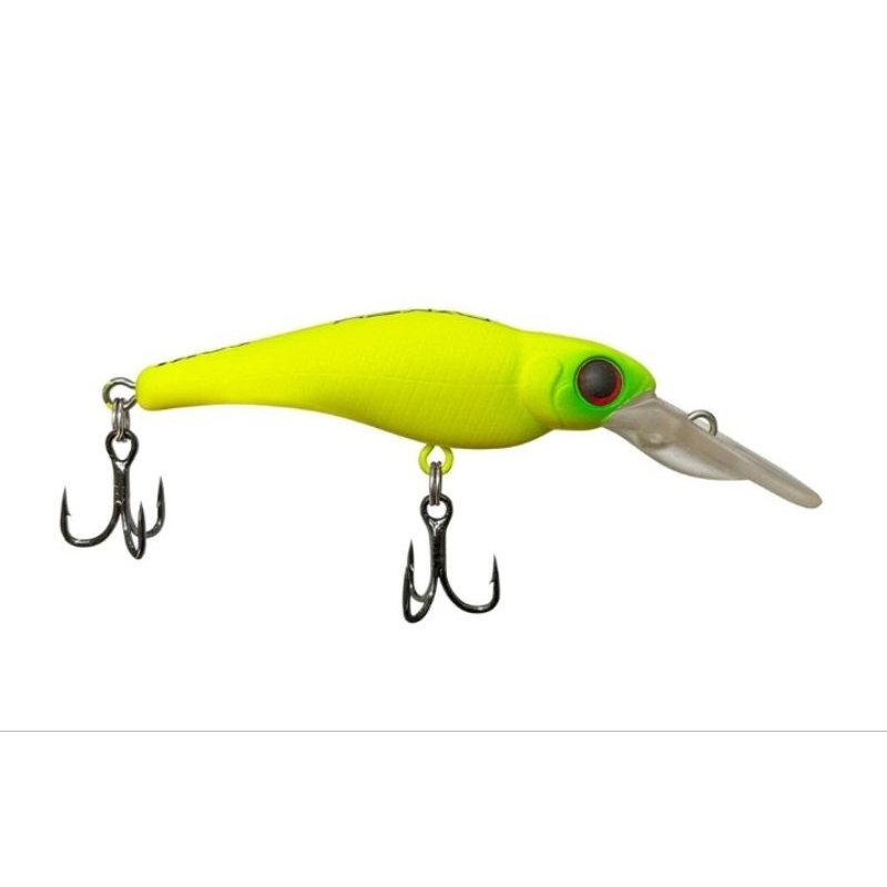 Isca Lori Laker 55 – Assinada por Tiago Papan