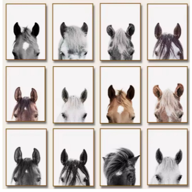 Kit 10 Quadros Decorativos Cavalo Rosto Animal Decoração Fazenda em Oferta na Shopee