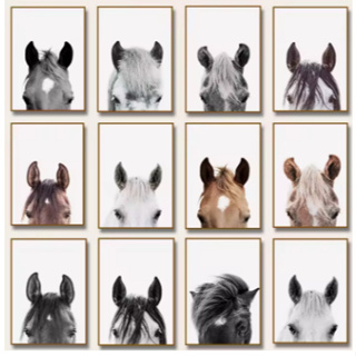 Kit 10 Quadros Decorativos Cavalo Rosto Animal Decoração Fazenda em Oferta na Shopee
