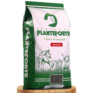 Semente Capim Massai Incrustada 2kg em Oferta na Shopee