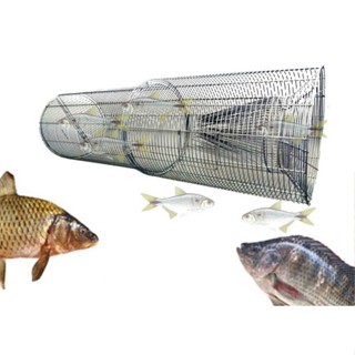 Armadilha Covo Para Peixes Tilápia Piau Jundiá Arame Zincado contra ferrugem G99 em Oferta na Shopee