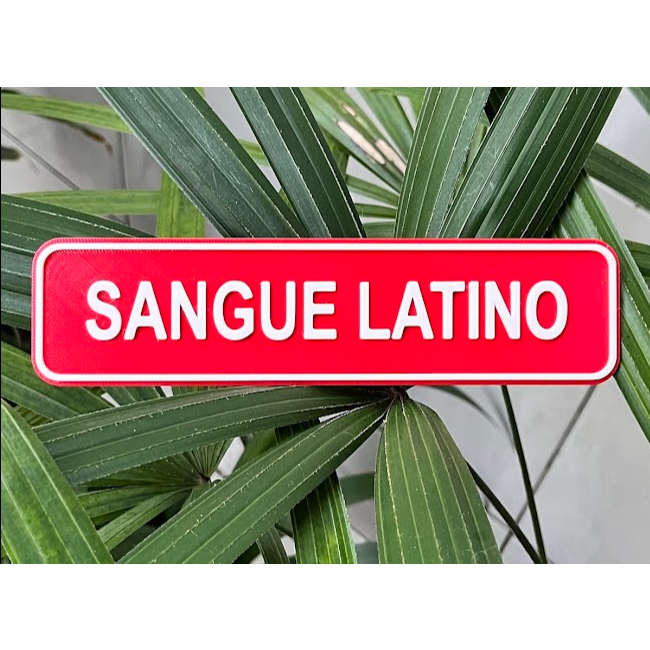 Placa quadro decorativo Sangue latino -  frases personalizadas para sala cozinha quarto e banheiro em Oferta na Shopee